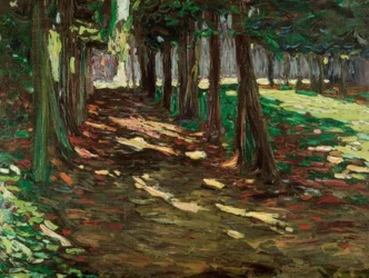 I parken Saint Cloud