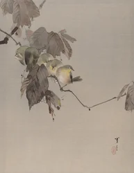 Fugler på en gren, ca. 1887.