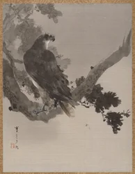 Eagle in a Tree, ca. 1887.