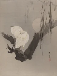 Egrets i et tre om natten, ca. 1887.
