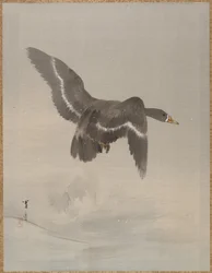 Flying Goose, ca. 1887.