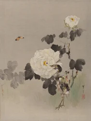 Roser, ungfugl og en sommerfugl, ca. 1887.