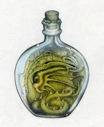 Flaskedrage