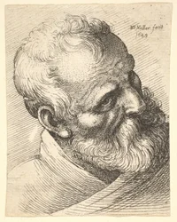 Skjegget gammel mann med skråstilt hode, 1645.