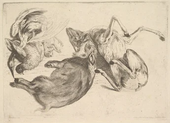 Villsvin, hjort, hegre og annet vilt, 1625-77.
