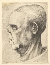 Grotesk gammel mann med flatklemt nese i venstre profil, 1625-77