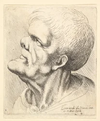 Hodestudie av en mann med utstående hake og stump nese, som ser oppover i profil mot venstre, 1625-77