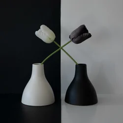 Balanse av svarte og hvite tulipaner
