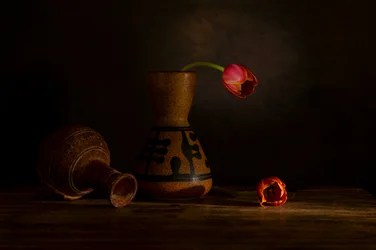Stilleben med stemningsfulle tulipaner