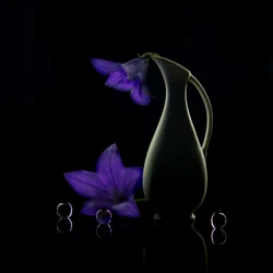 Lilla blomster – mørk eleganse