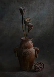 Rustikt lotus-stillbilde