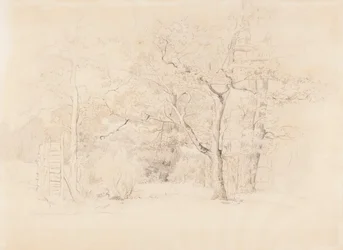 Landskap, lund