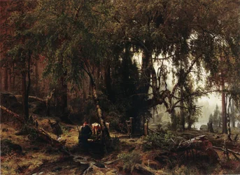 Skog i regnvær