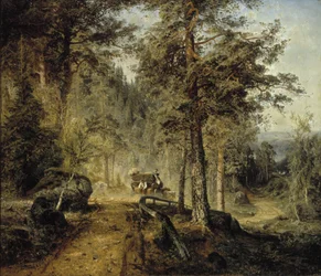 Road in Häme (en varm sommerdag)