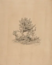 Uten tittel