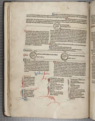 Fol 30 verso