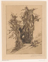 Hult tre ved Seelisberg i Sveits Hollow Tree (original tittel)