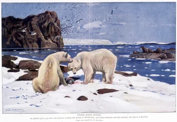 Arktisk ishav med to isbjørner, hvalross og fugler (måker, alkyoner og dårer). Basert på en akvarell av W. Kuhnert.