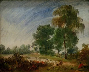 Sensommerlynghei med dam
