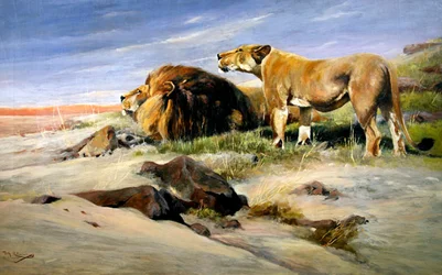 Røvere av ørkenen
