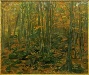 Steinblokker i Odenwald