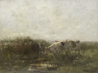 Kyr