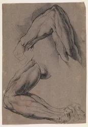 Anatomisk studie (écorché). To studier av en manns flådde venstre arm