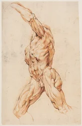 Anatomisk studie (écorchés). Vandrende flådd mann snudde til venstre
