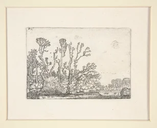 Saueflokk nær vannet, Plate 8 fra The Set of the Landscapes