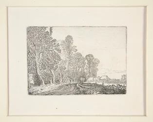 Vei i utkanten av skog, Plate 4 fra The Set of the Landscapes