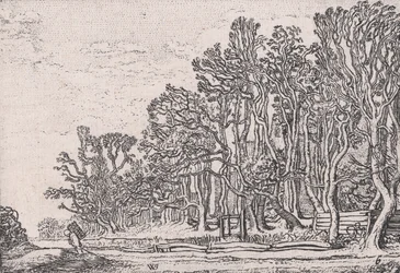 To plankehekker, fra Verscheyden Landtschapjes Various Little Landscapes, Plate 6,..., ca. 1616.