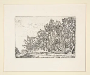 To plankehekker, Plate 6 fra The Set of the Landscapes