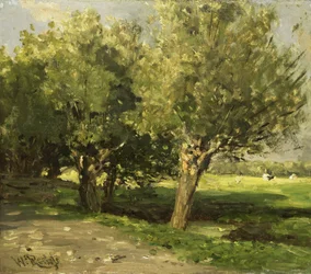 Piletrær