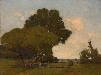 Trærne, tidlig ettermiddag, Frankrike, ca. 1905.