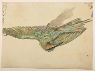 WD 959 seksjon 2 f.076v