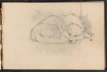 Skisse av en sovende hund, 1879 ca