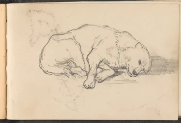 Skisse av en sovende hund, 1879 ca
