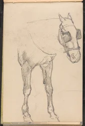 Skisse av hest med blink, 1879 ca