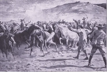 Fangsten av hestene i Brandwater-distriktet nær Fouriesburg: runding av flokken, illustrasjon fra After Pretoria: The Guerilla War, 1902