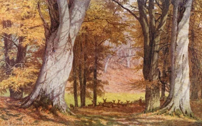 I Knole Park, nær King Beech (fargelitografi)