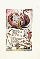 Spedbarnsglede, 1789