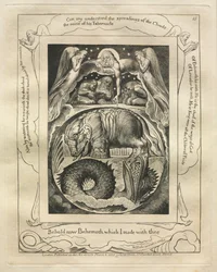 Jobs bok: Pl. 15, Se nå Behemoth som jeg laget med deg, 1825.