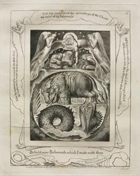 Jobs bok: Pl. 15, Se nå Behemoth som jeg laget med deg, 1825.