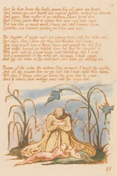 The Book of Thel, Plate 7, Men den som elsker de ydmyke . . . .