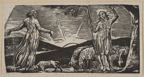 Thenot protesterer med Colinet, fra Thorntons Pastorals of Virgil, 1821.
