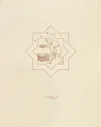 Smelt, 1878