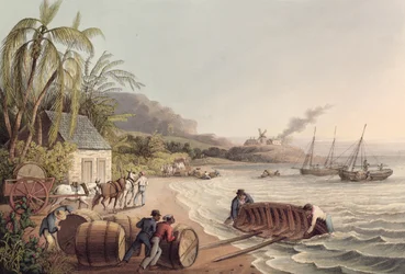 Laster fat rom og sukker, Antigua