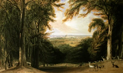 Skoglandskap, Windsor