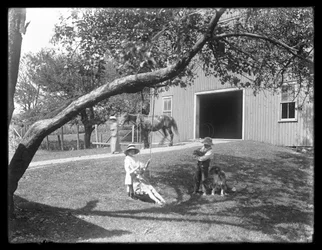 Barn av familien McCready med hund og valp samlet seg rundt en tauhuske utenfor en låve, ca. 1913