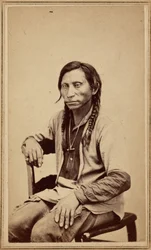 Grå ulv, 1860-tallet (foto)